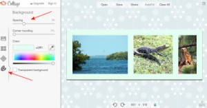 Create a Facebook Cover Photo with PicMonkey Shot 5 - Background