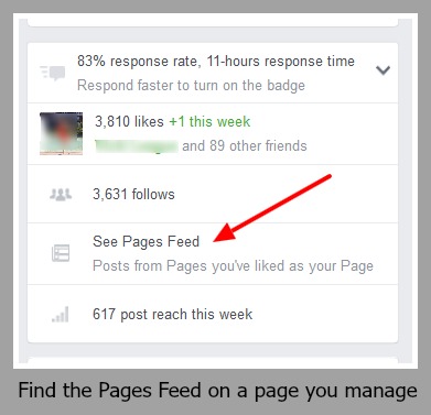 Find your Pages Feed on your page