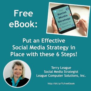 Social Strategy - free ebook by Terry League